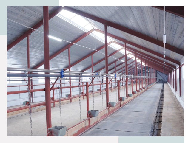 Строительство коровников в Спасске-Дальнем от 621 руб.