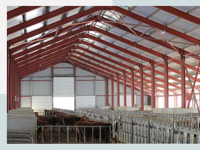 Строительство коровников в Спасске-Дальнем